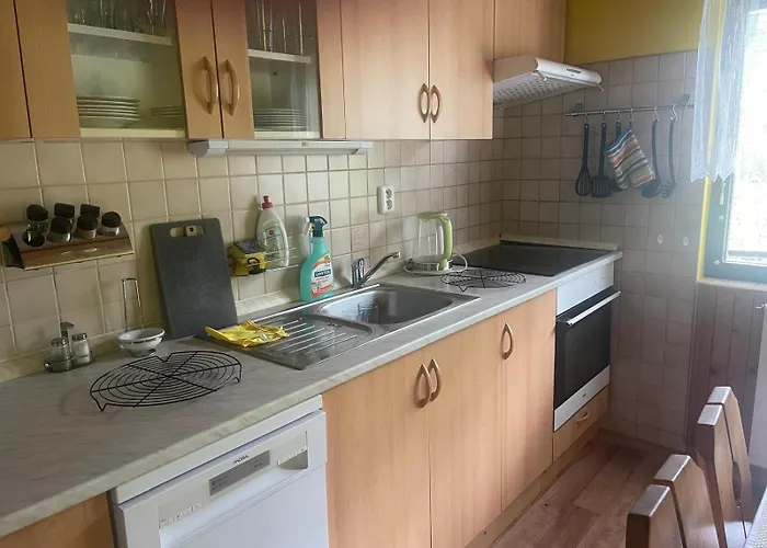 Janov Ferienhaus Nový Bor